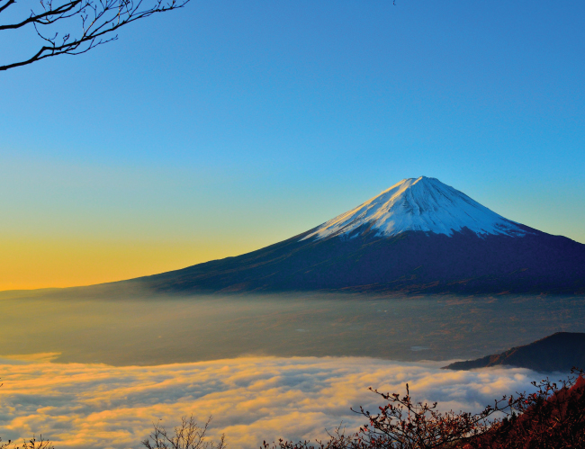 Tablou canvas : Muntele Fuji [4]