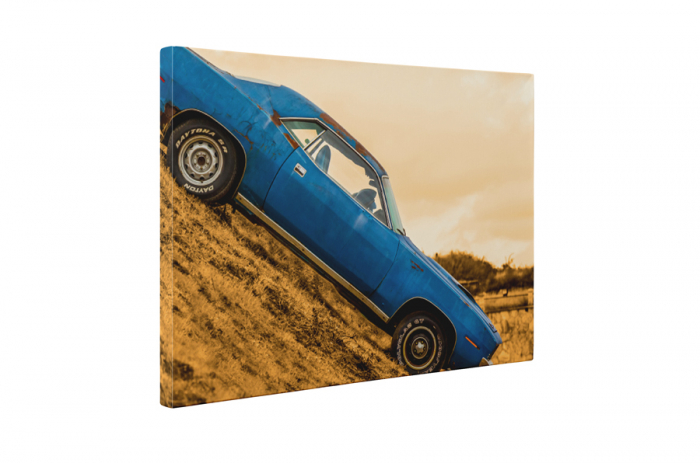 Tablou canvas : Fast car [5]