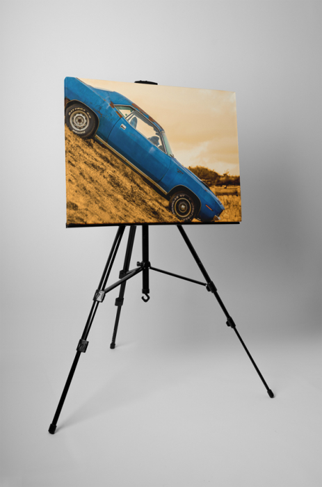 Tablou canvas : Fast car [3]