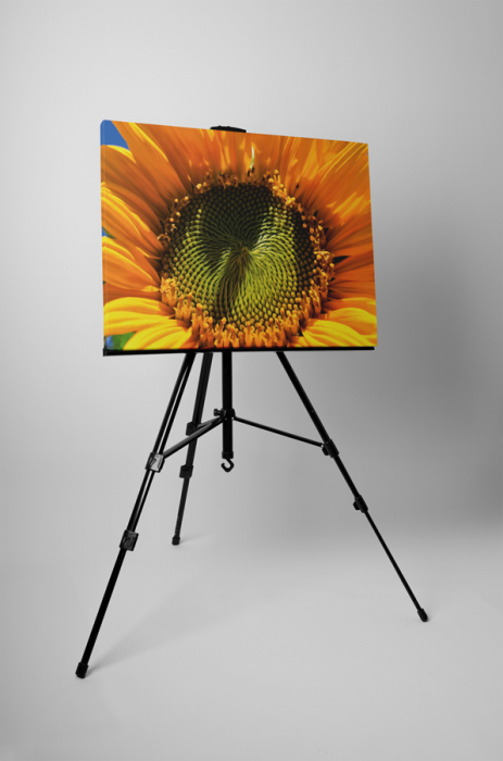 Tablou canvas : Seminte de floarea soarelui [3]