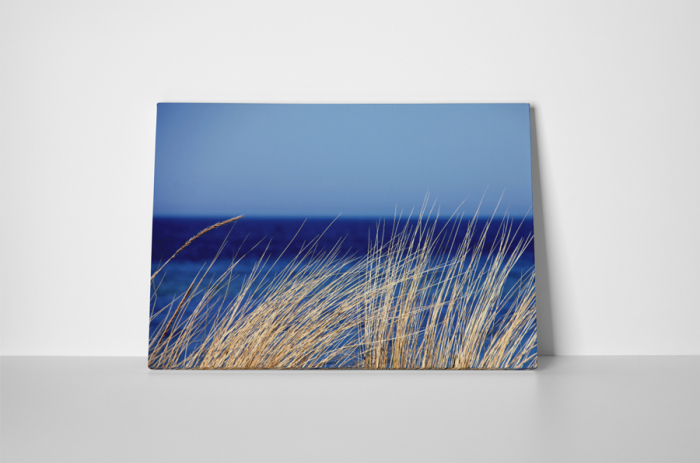 Tablou canvas : Iarba uscata [2]