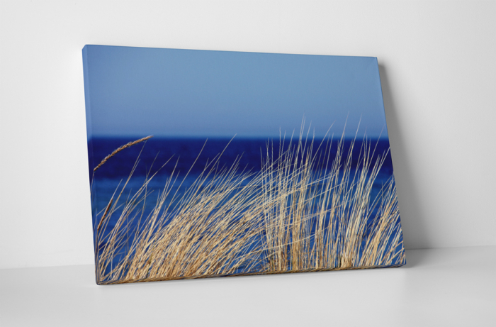 Tablou canvas : Iarba uscata [1]