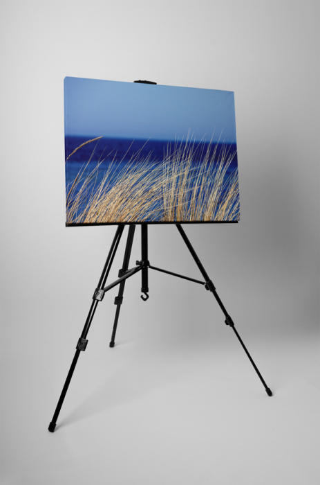 Tablou canvas : Iarba uscata [3]