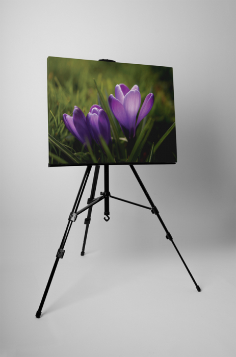 Tablou canvas : Branduse [3]