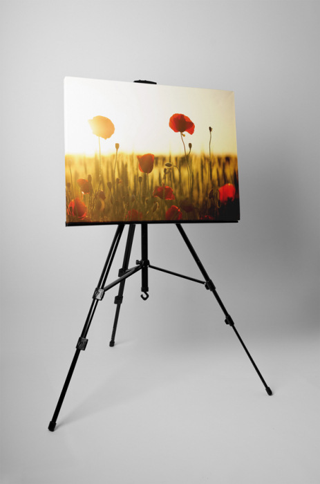 Tablou canvas : Maci in apus de soare [3]