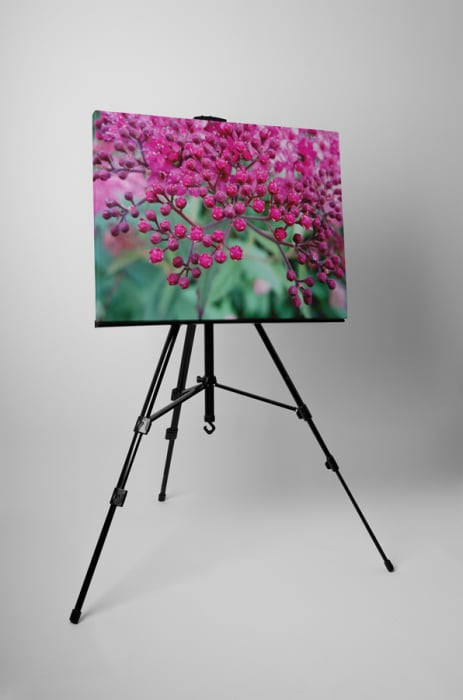 Tablou canvas : Pink small flowers [3]