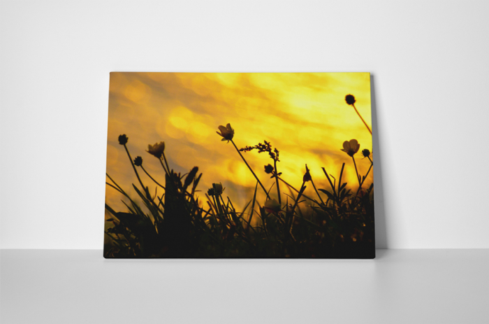 Tablou canvas : Floricele de camp [2]