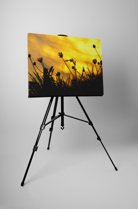 Tablou canvas : Floricele de camp [3]