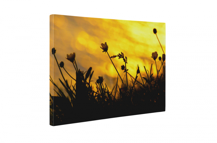 Tablou canvas : Floricele de camp [5]
