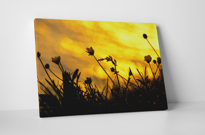 Tablou canvas : Floricele de camp [1]
