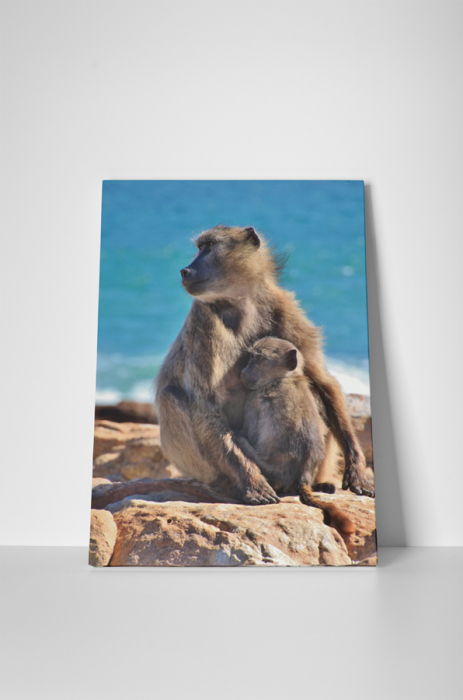 Tablou canvas : Familie de maimute [2]