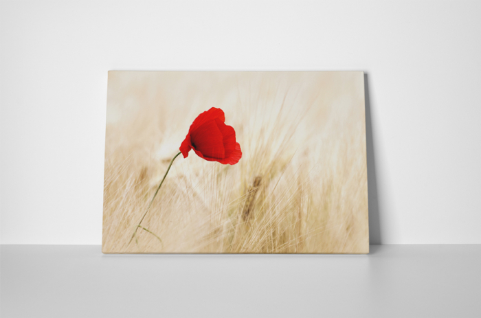 Tablou canvas : Macul [2]