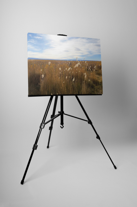 Tablou canvas : Campul [3]