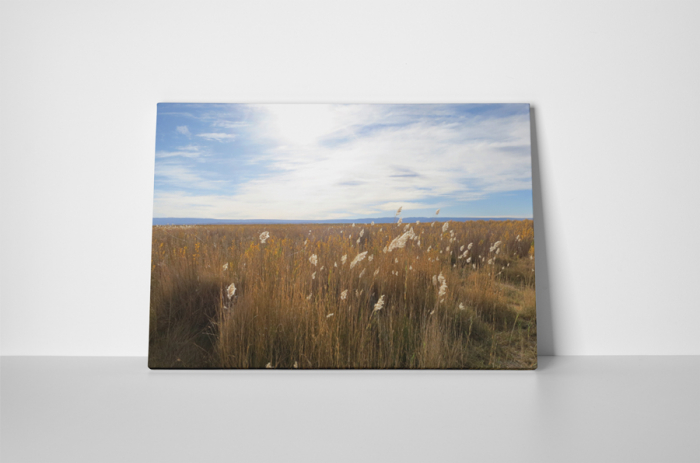 Tablou canvas : Campul [2]
