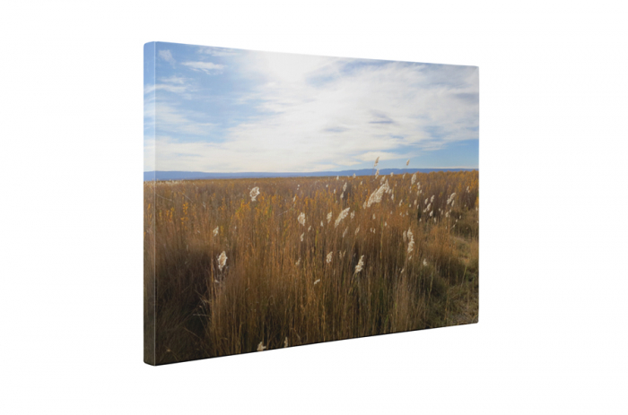 Tablou canvas : Campul [5]