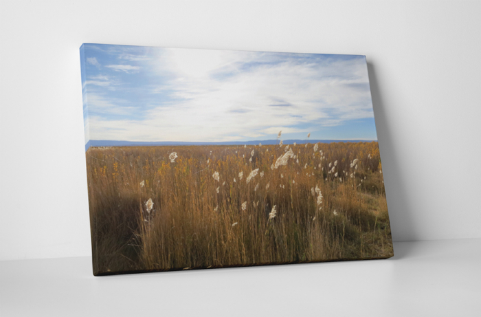 Tablou canvas : Campul [1]