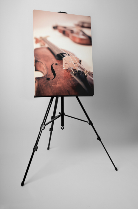 Tablou canvas : Vioara [3]