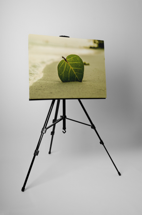 Tablou canvas : Frunza in nisip [3]