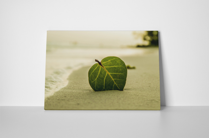 Tablou canvas : Frunza in nisip [2]