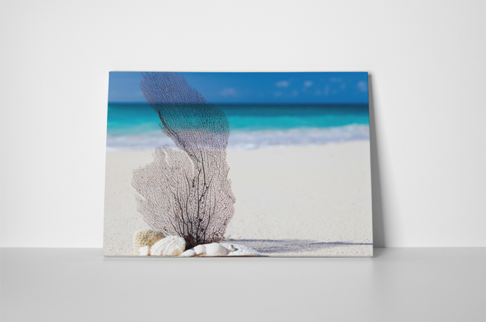 Tablou canvas : Plaja [2]