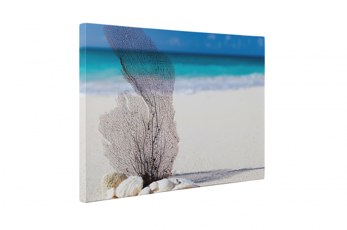 Tablou canvas : Plaja [5]