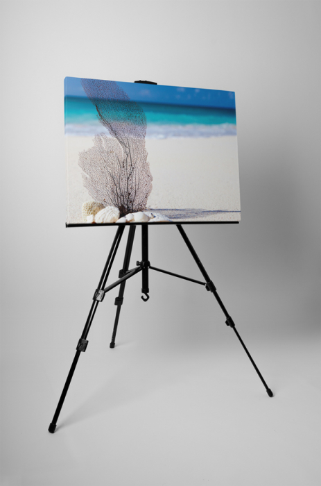 Tablou canvas : Plaja [3]