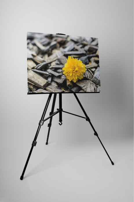 Tablou canvas : Floricica [3]