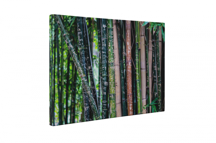Tablou canvas : Amintiri gravate [5]