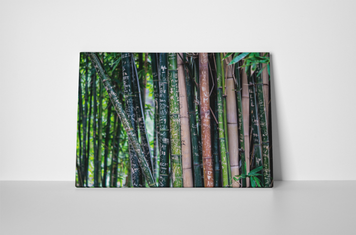 Tablou canvas : Amintiri gravate [2]