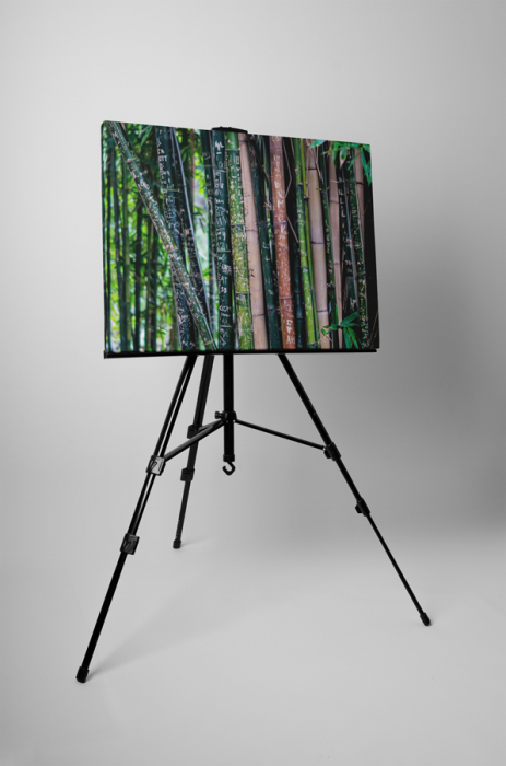Tablou canvas : Amintiri gravate [3]