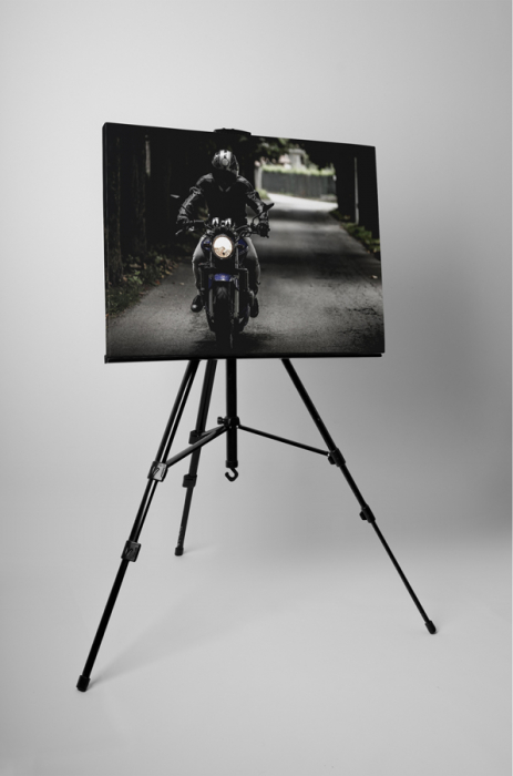Tablou canvas : Motociclist [3]