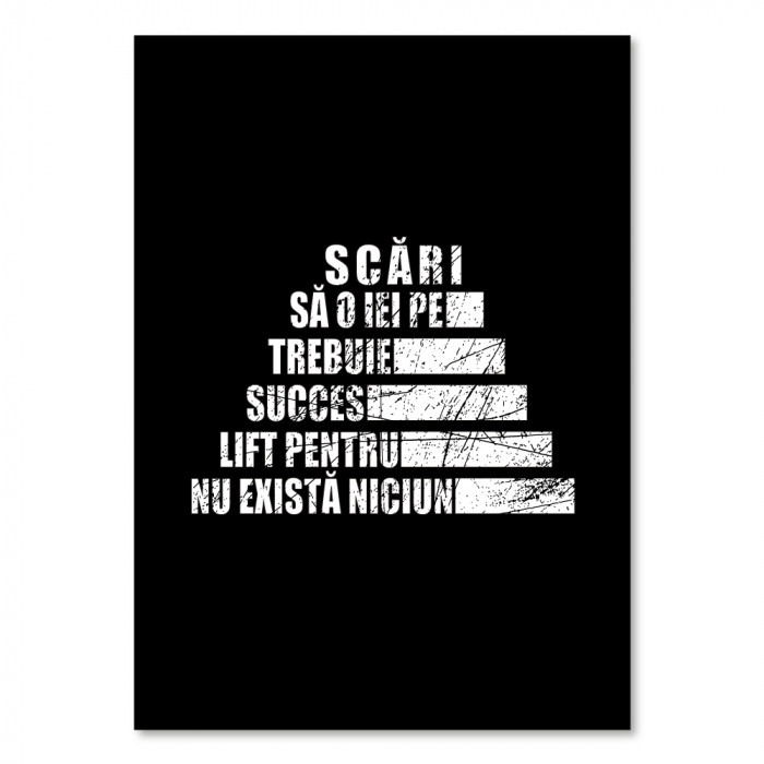 Tablou canvas - Scari - 25x35cm [2]