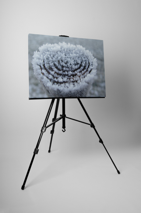 Tablou canvas : Gerul [3]