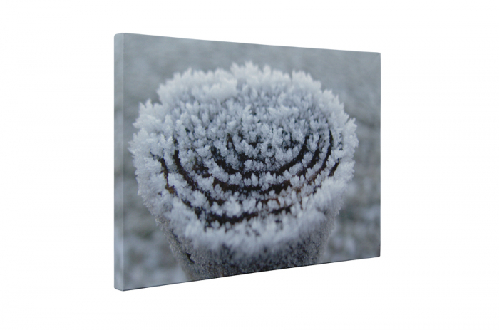 Tablou canvas : Gerul [5]