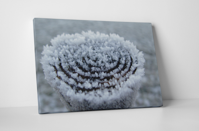 Tablou canvas : Gerul [1]