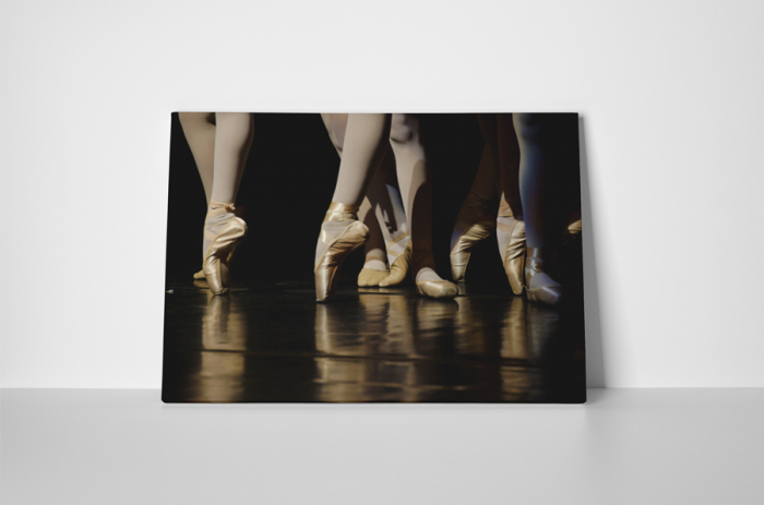 Tablou canvas : Balet [2]