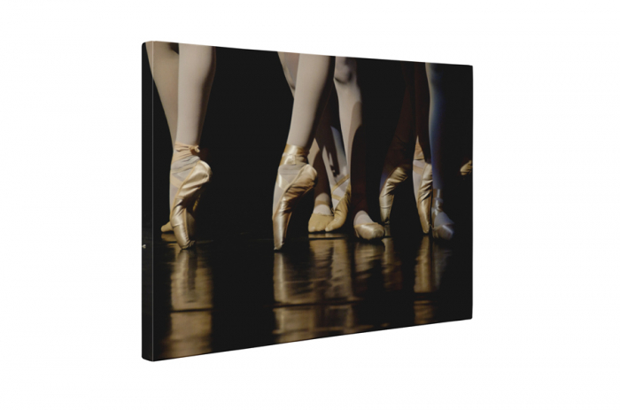 Tablou canvas : Balet [5]
