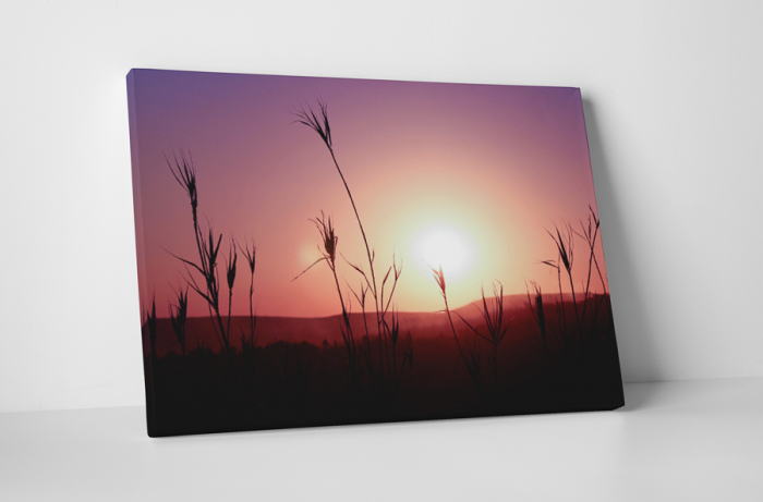 Tablou canvas : In the sunset [1]