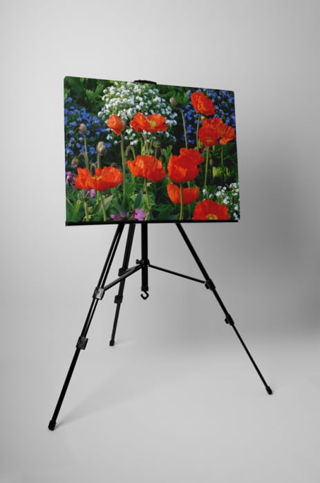 Tablou canvas : Campul cu flori [3]