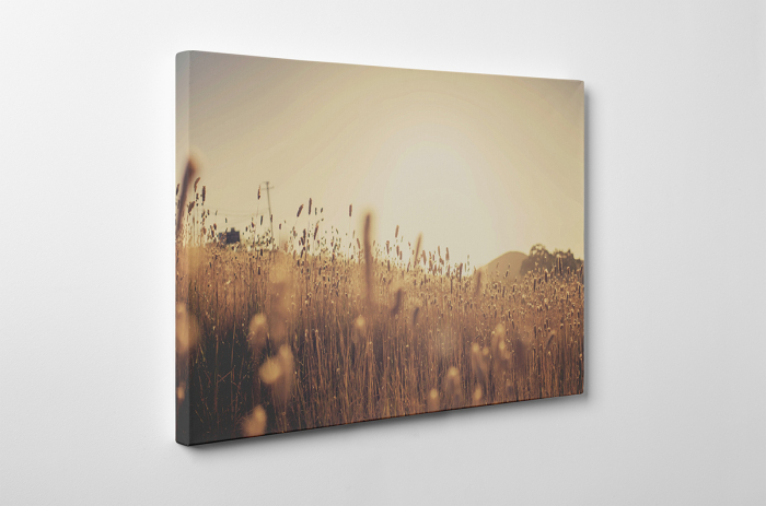 Tablou canvas : Miroase a vara [3]