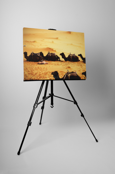Tablou canvas : Camile obosite [3]