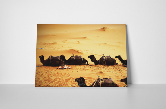 Tablou canvas : Camile obosite [2]