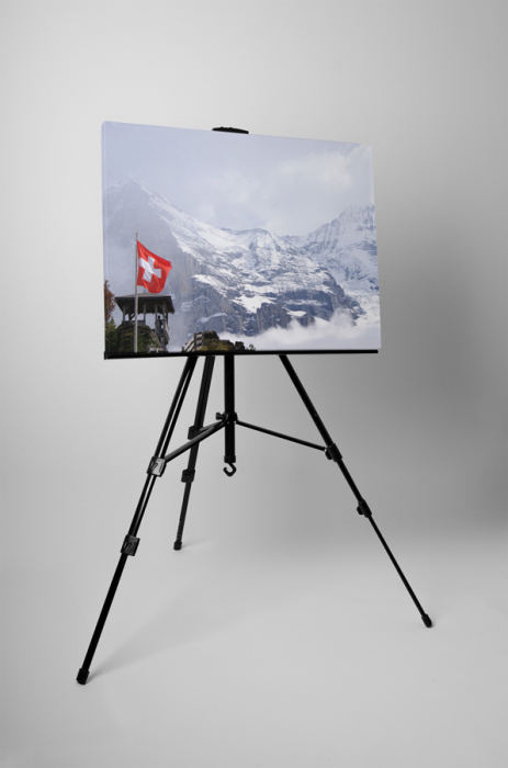 Tablou canvas : Alpii elvetieni [3]