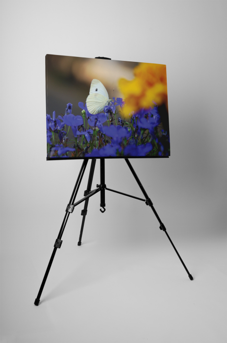 Tablou canvas : Fluturele alb [3]