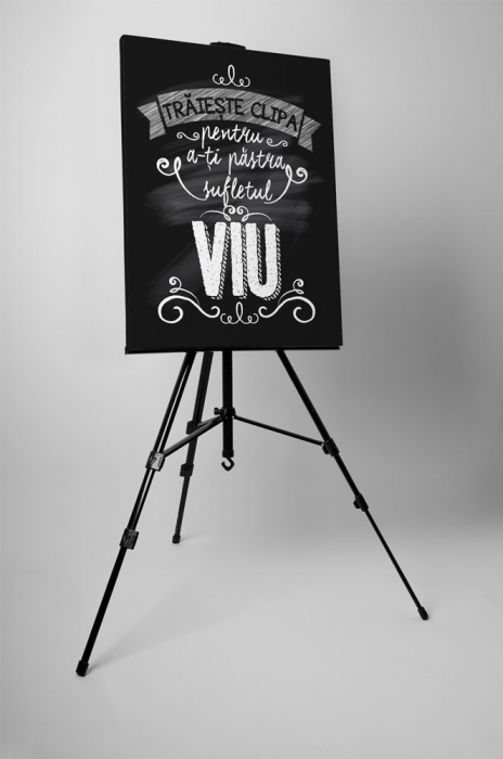 Tablou canvas : Traieste clipa [3]