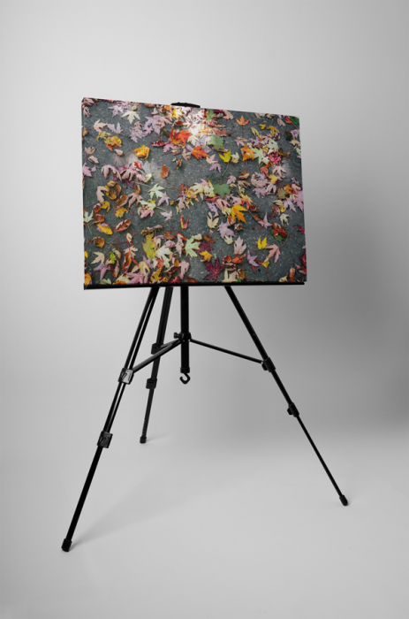 Tablou canvas : Frunze colorate de toamna [3]