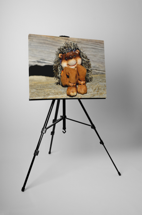 Tablou canvas : Arici de jucarie [3]