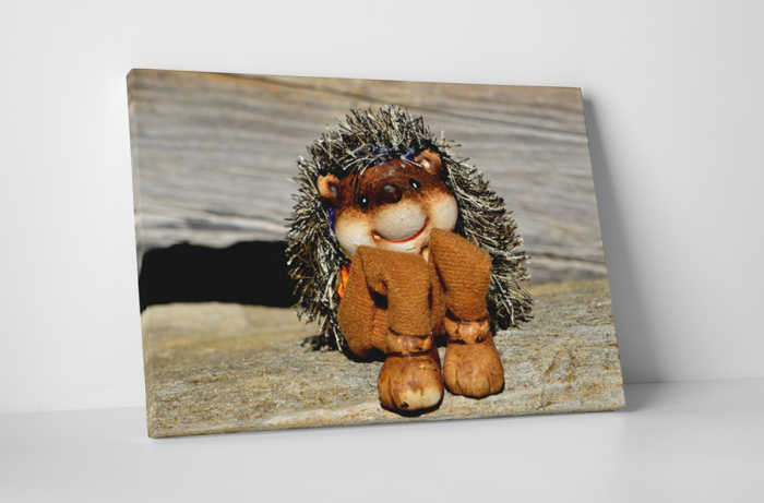 Tablou canvas : Arici de jucarie [1]