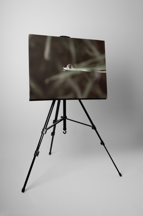 Tablou canvas : Un strop de apa [3]