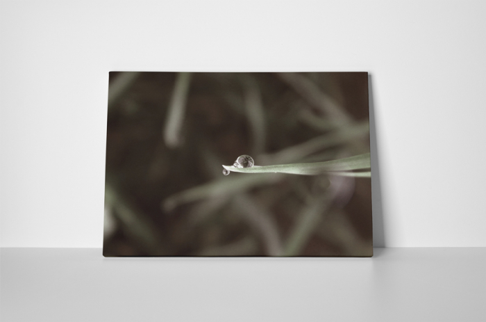 Tablou canvas : Un strop de apa [2]